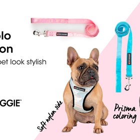 Toy Doggie Brand: Make Your Pet A Lot More Adorable with Cute Dog Clothes